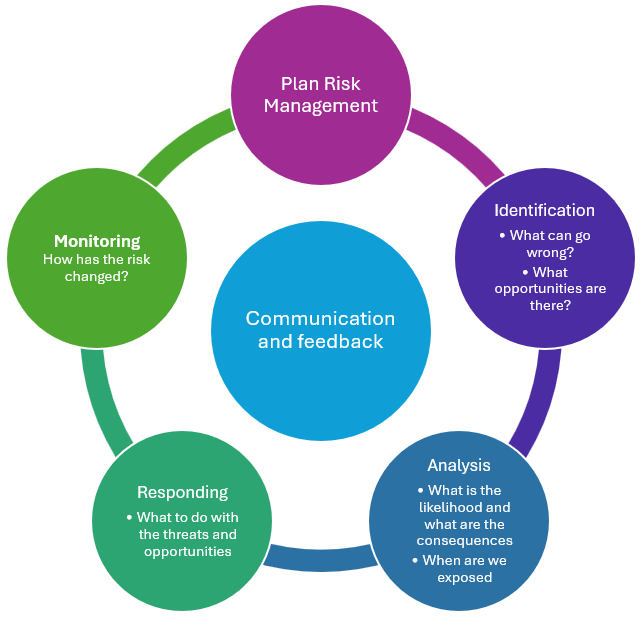 Risk Management in Capital Projects with Omega 365: Recommended Practices